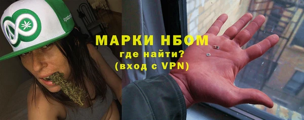 стаф Козельск