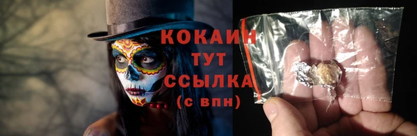 стаф Козельск