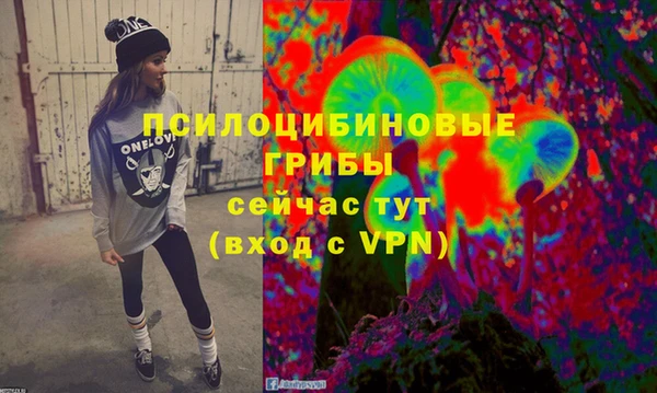 стаф Козельск