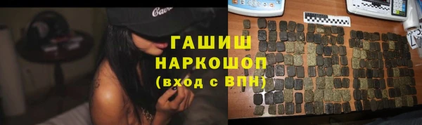стаф Козельск