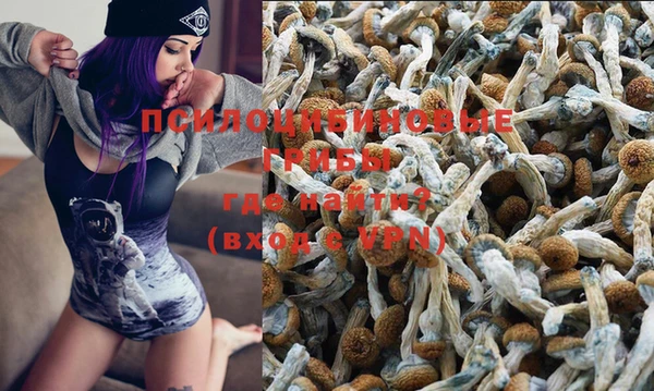метадон Кодинск