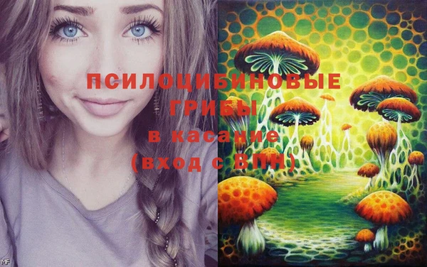 амф Козловка