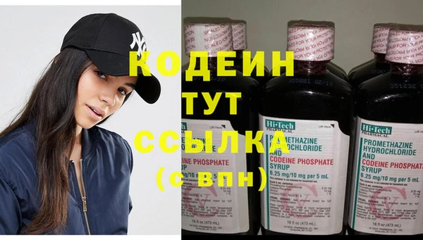 стаф Козельск