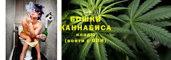 амф Козловка