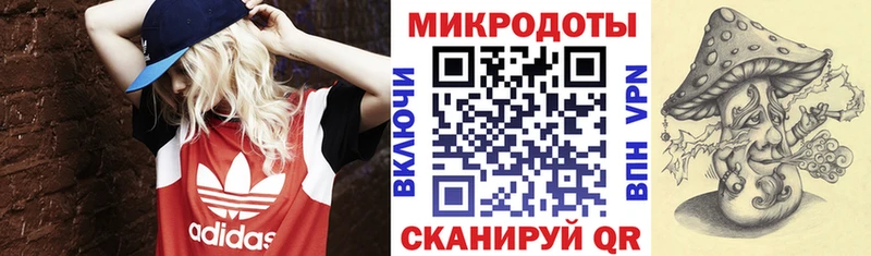 Псилоцибиновые грибы ЛСД  Купить  Завитинск 